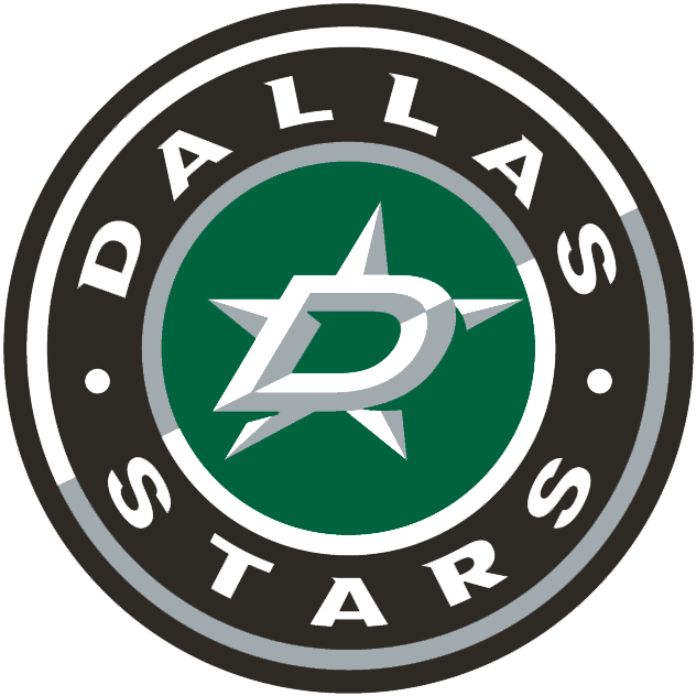 Dallas Stars 2013-Pres Alternate Logo iron on transfers for clothing